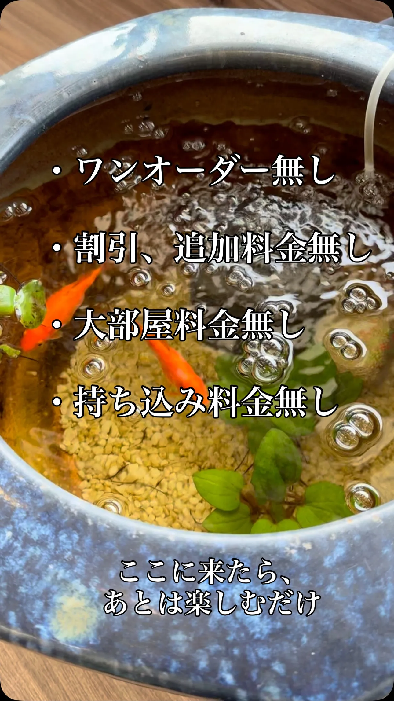 🎤✨カラオケの新しいスタイルがここに！リーズナブルに歌ってス...