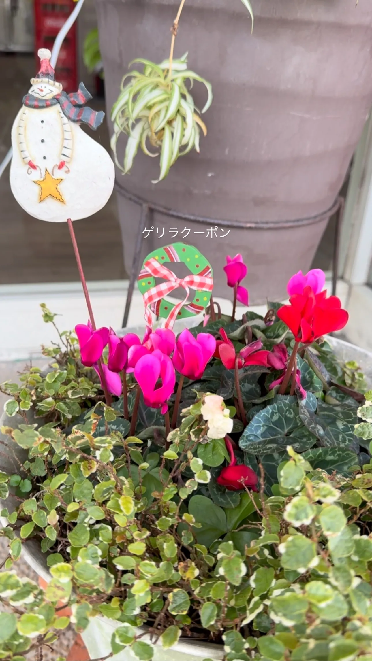 🚨緊急告知🚨